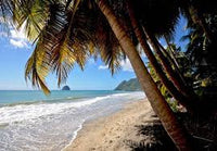 VOYAGE SONORE DU LUNDI 29 SEPTEMBRE 2025 DE 9H00 A 10H00 SUR  PLAGE DU DIAMANT